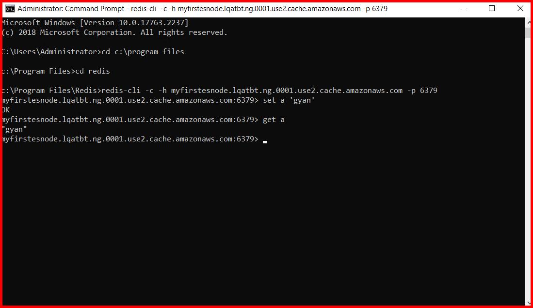 Picture showing the output of elasticcache in AWS